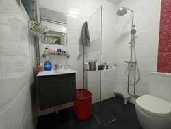 Blk 134 Petir Road (Bukit Panjang), HDB Executive #457299141